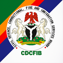 CDCFIB Board